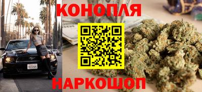 дмт Можга