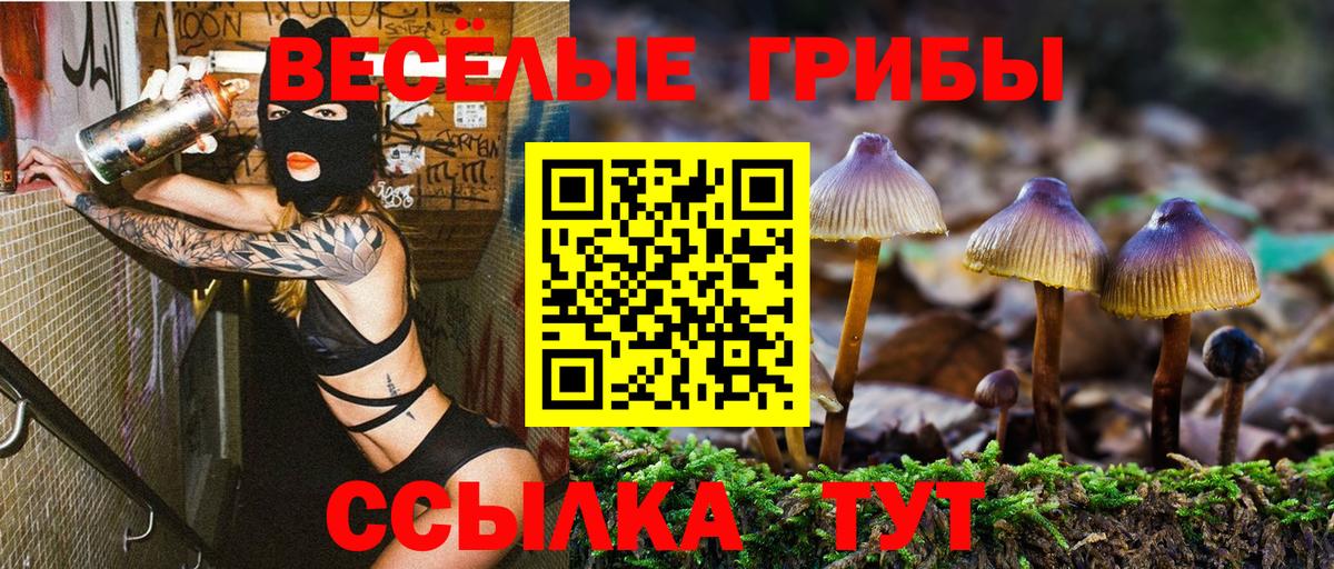 Орехово-Зуево  Псилоцибиновые грибы мицелий  Галлюциногенные грибы MAGIC MUSHROOMS  хочу наркоту  Вход с VPN 