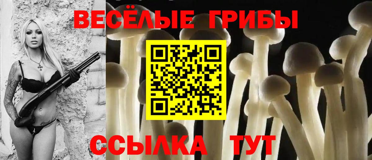 Галлюциногенные грибы Cubensis Орехово-Зуево